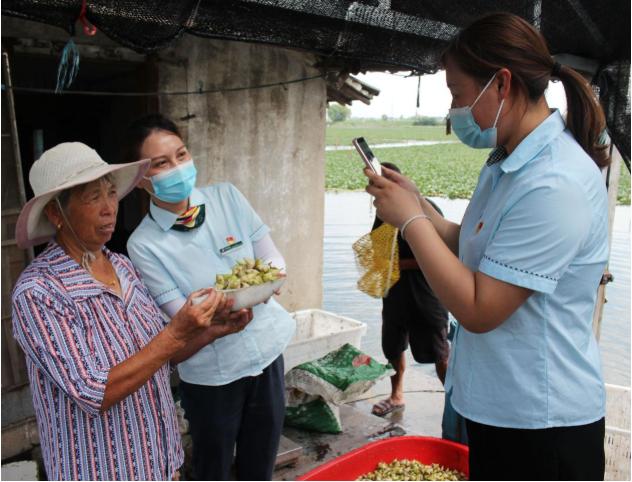泰州姜堰农品直通能量大疫情下应季农副产品销售不再难